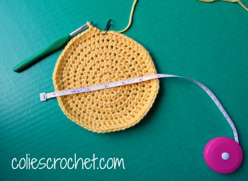 Spring-Peeper-Beanie-Crown-Measurement-Colie's-Crochetdotcom-Blog